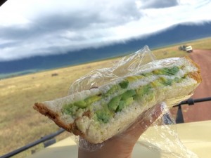 Fulgence made us the best meal of the safari- Avocado Sandwiches! Lunch inside Ngorongoro Crater, Tanzania, Africa.